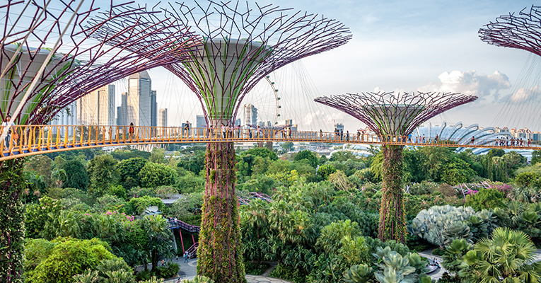 Alcimed-Singapour