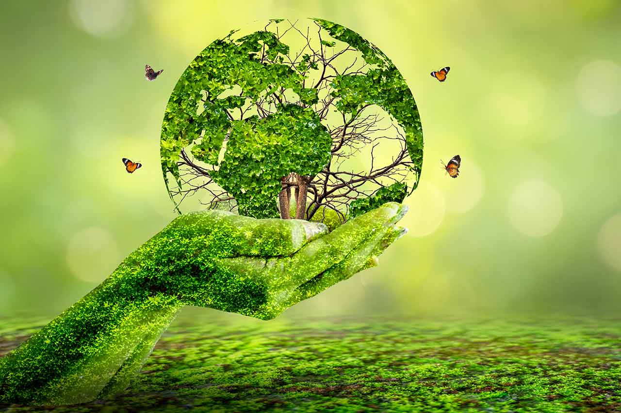 Environnement agence cabinet conseil consulting