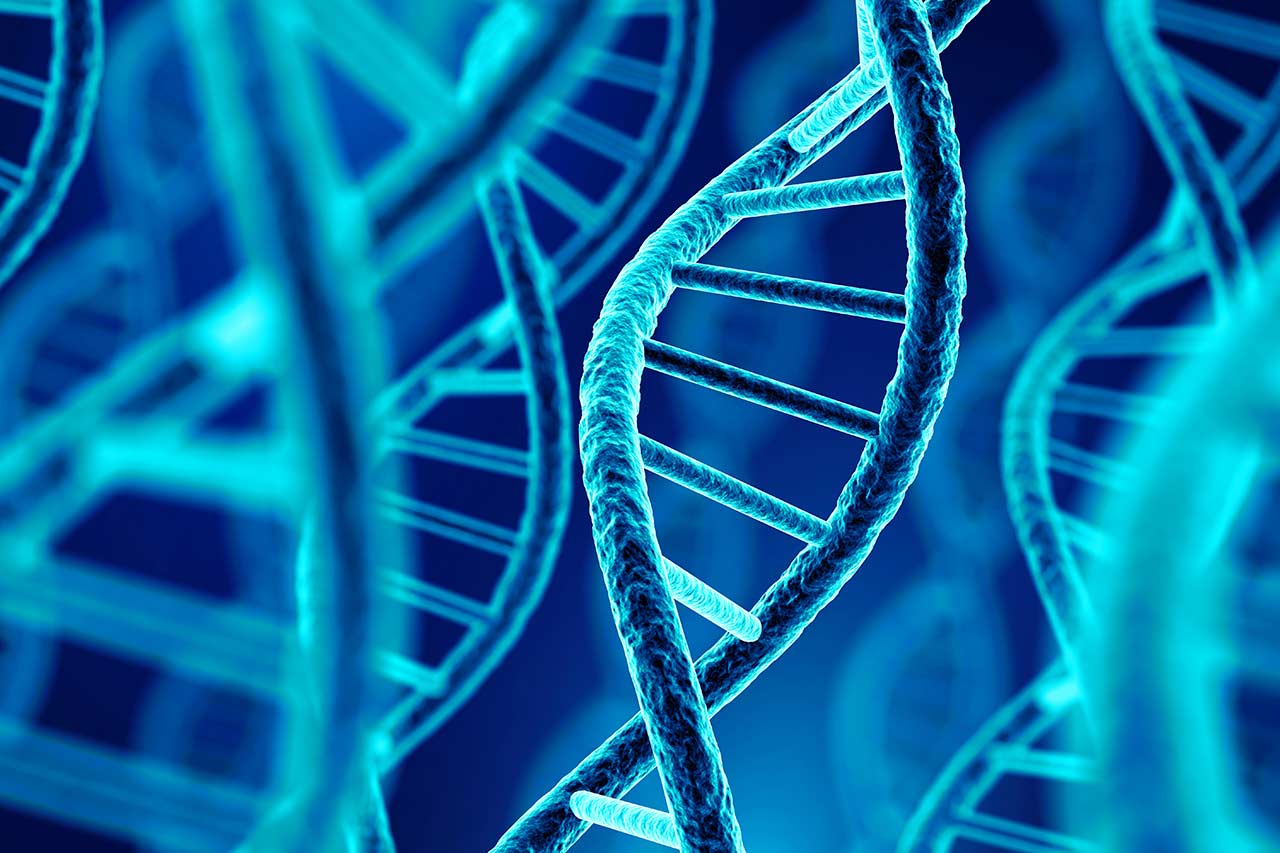 Genes agence cabinet conseil consulting