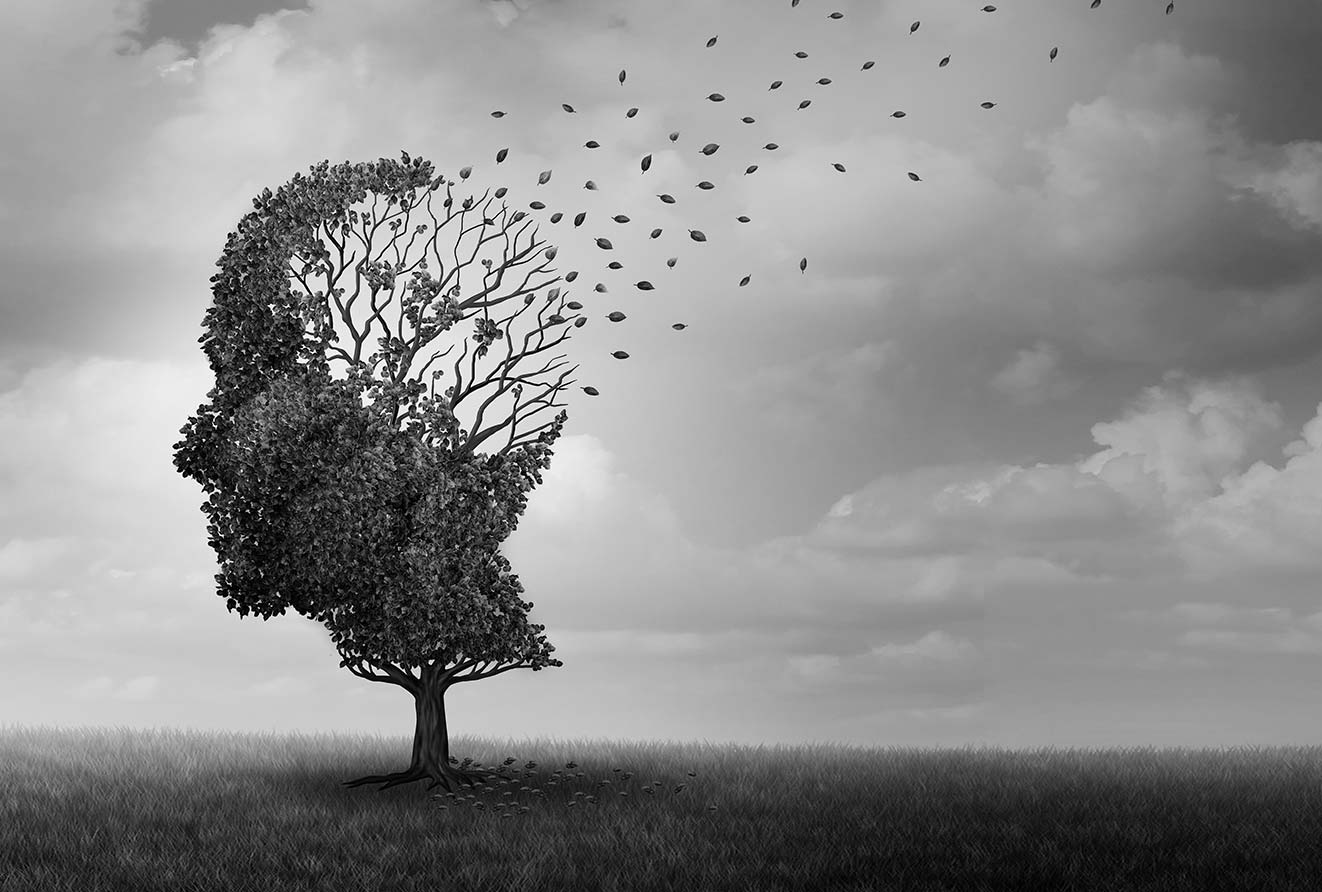 Alzheimer conseil consulting