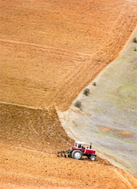 Agroalimentaire