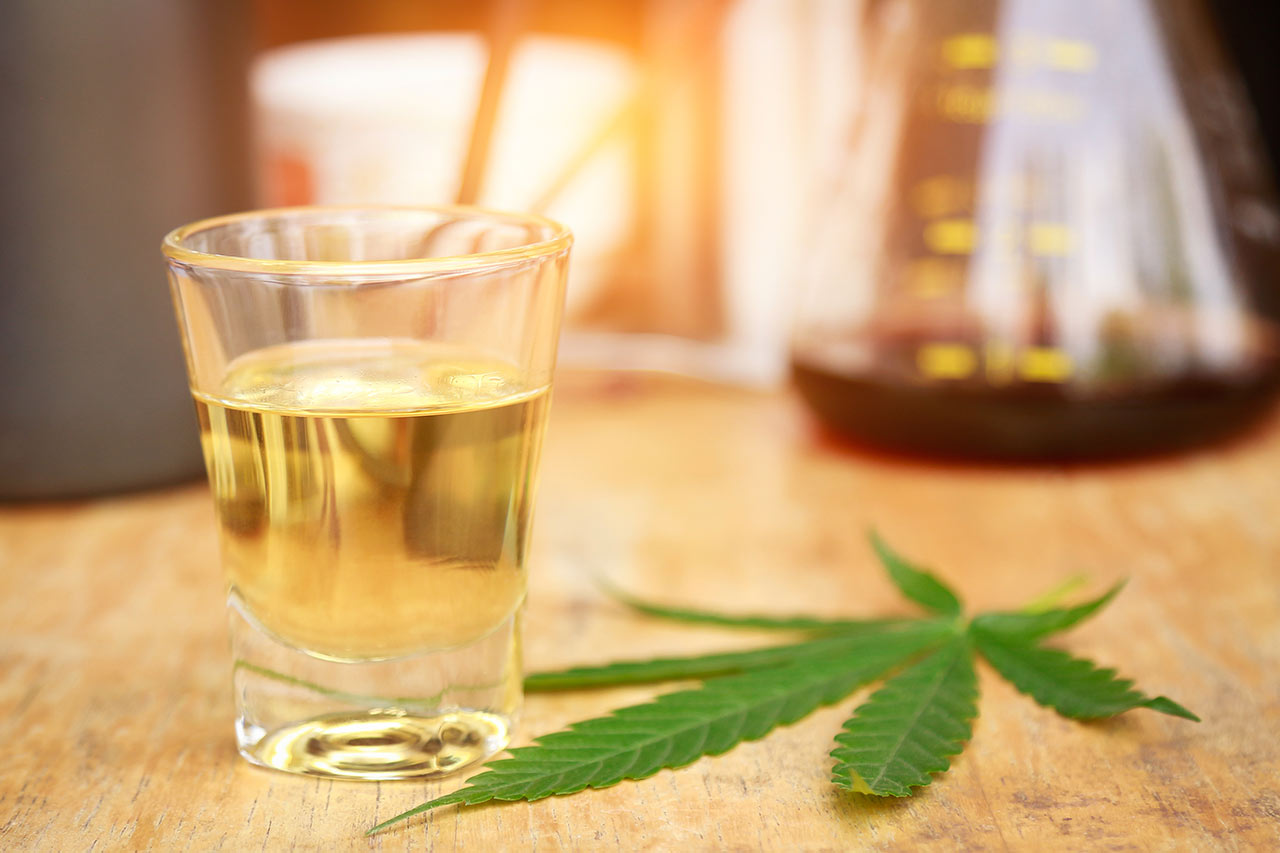 Cannabis thérapeutique conseil consulting