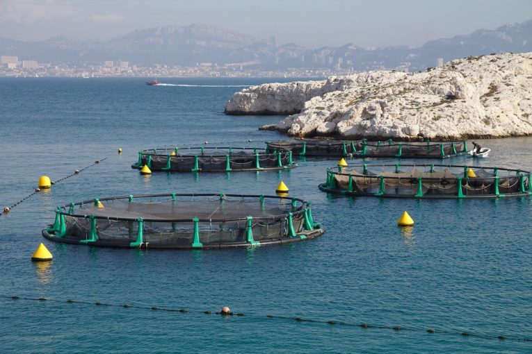 Aquaculture 4.0 how to increase the adoption of new technologies in Asia