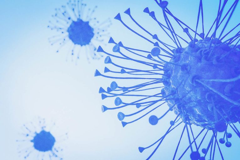 car t cell agence cabinet conseil consulting