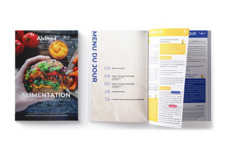 livre blanc conseil consulting