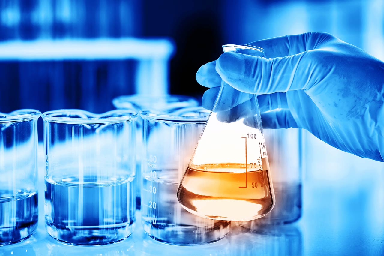 biomimetisme conseil consulting