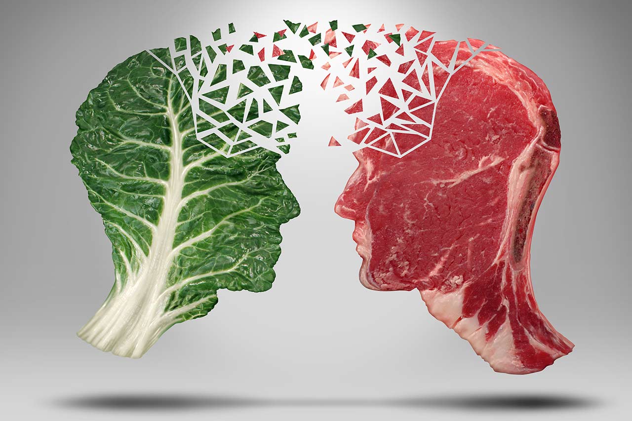 meat of plant origin agence cabinet conseil consulting