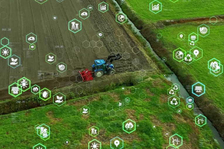 agtech conseil consulting