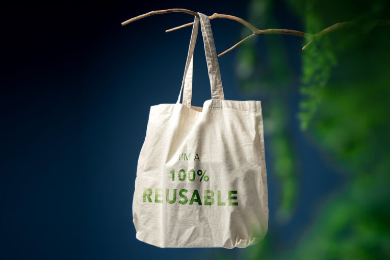 sustainable packaging agence cabinet conseil consulting