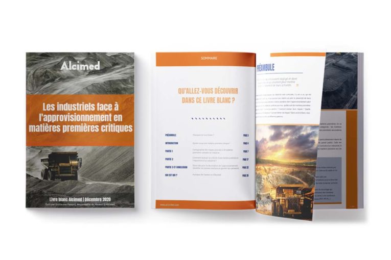 livre blanc conseil consulting