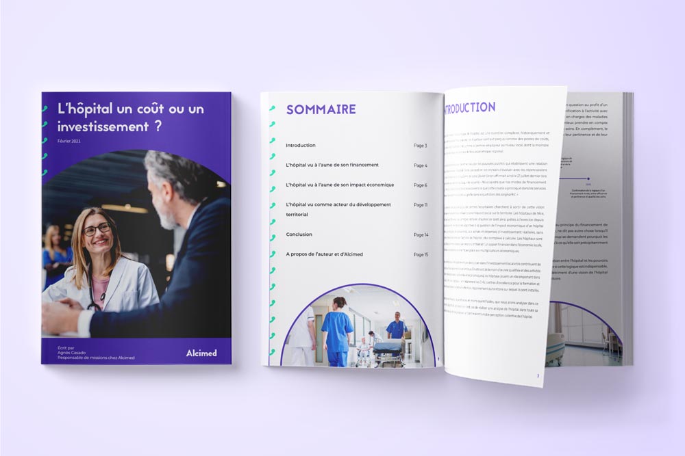 livre blanc conseil consulting