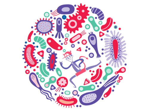 microbiome microbiote Agence Cabinet Experts Spécialistes Conseil Consulting