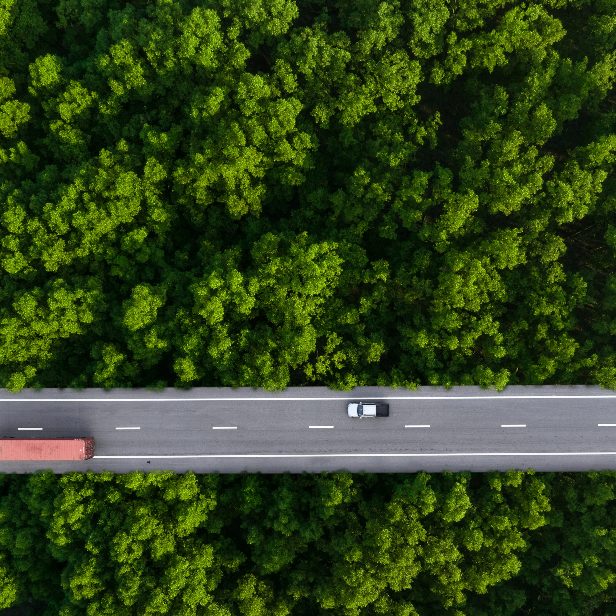 mobilité durable Innovation Agence Cabinet Experts Spécialistes Conseil Consulting