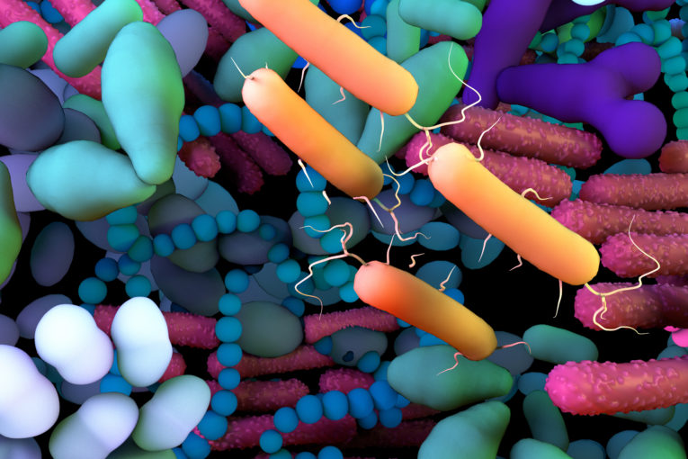 A Closer Look at Microbiome Therapeutics