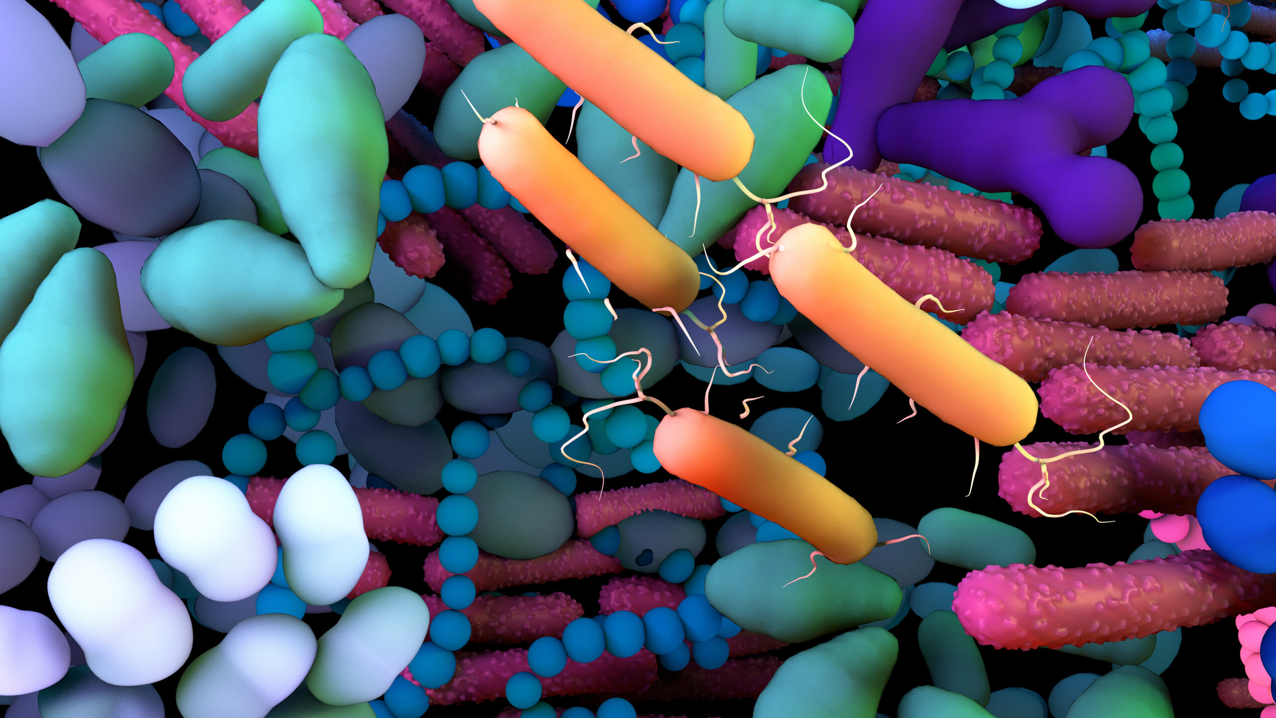 A Closer Look at Microbiome Therapeutics