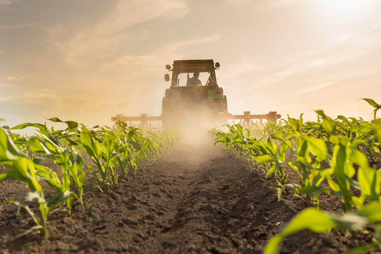 Which future for labels in agriculture? - Alcimed