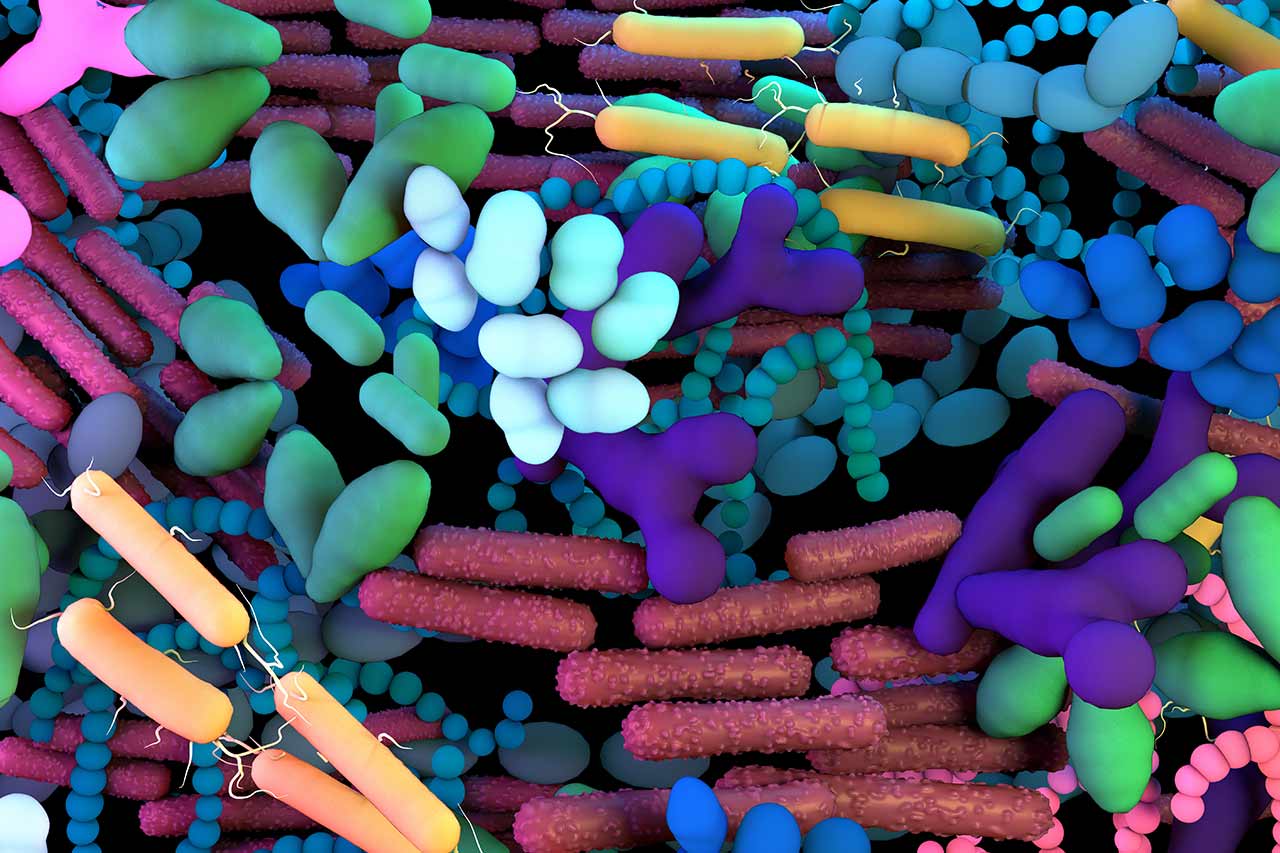 therapies du microbiome agence cabinet conseil consulting