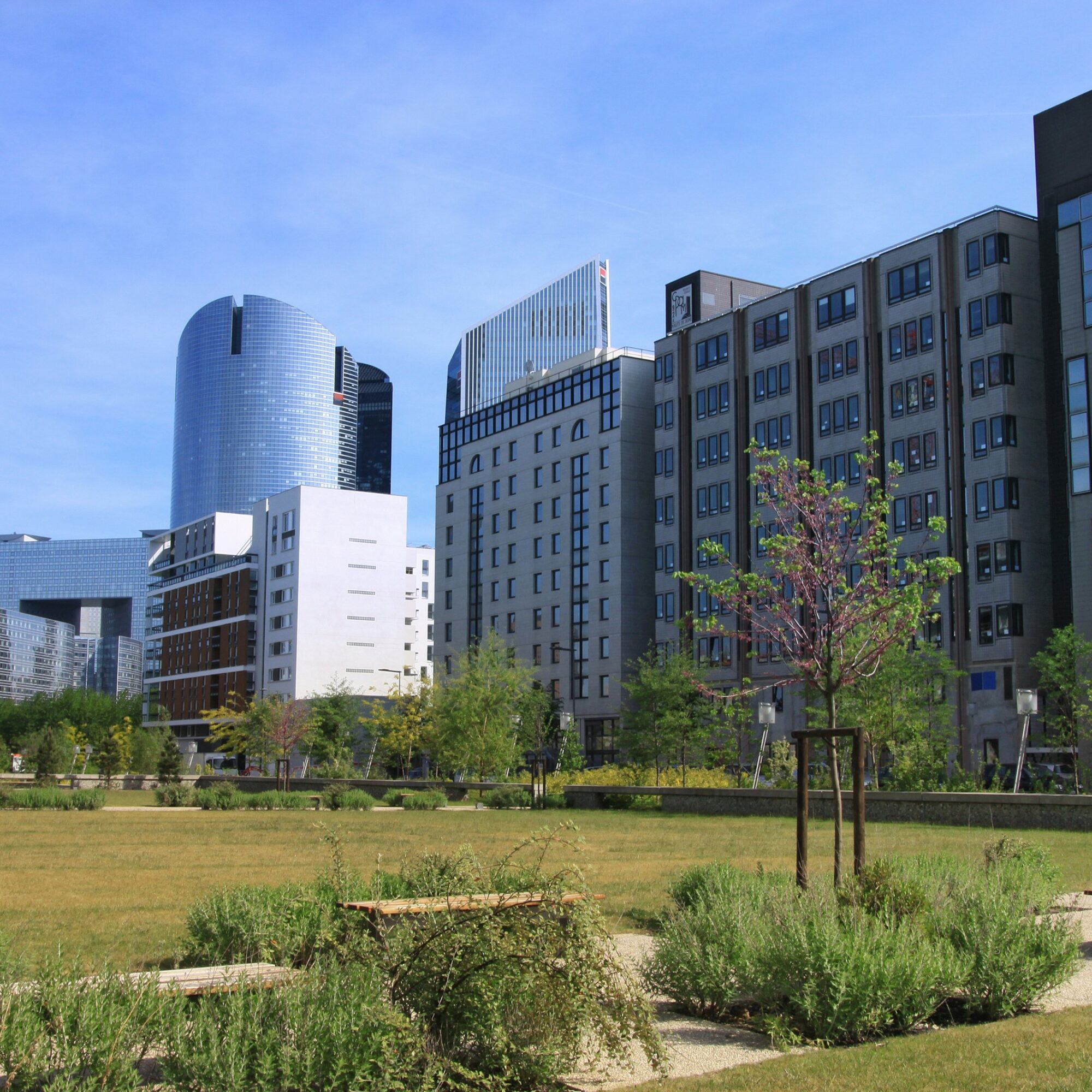 Démarche RSE agence cabinet conseil consulting