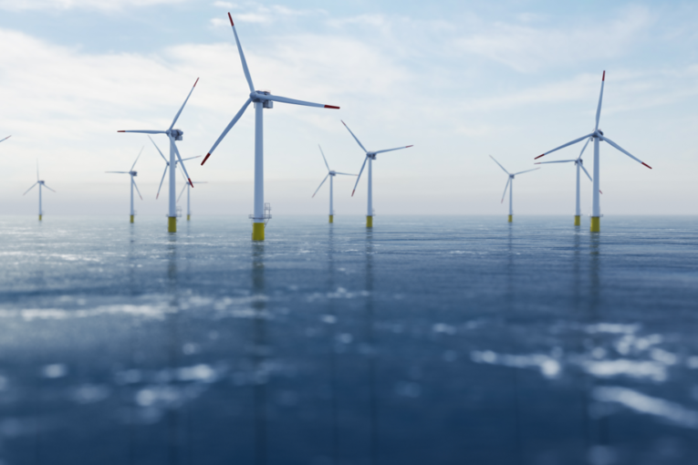 éolien offshore agence cabinet conseil consulting