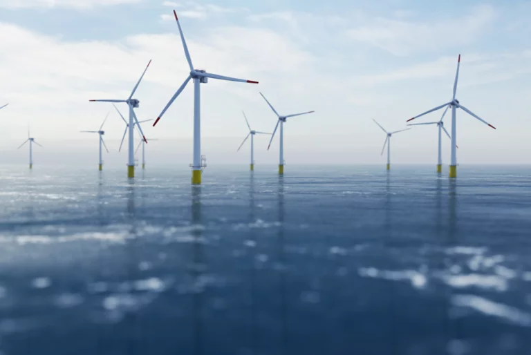 offshore wind energy agence cabinet conseil consulting