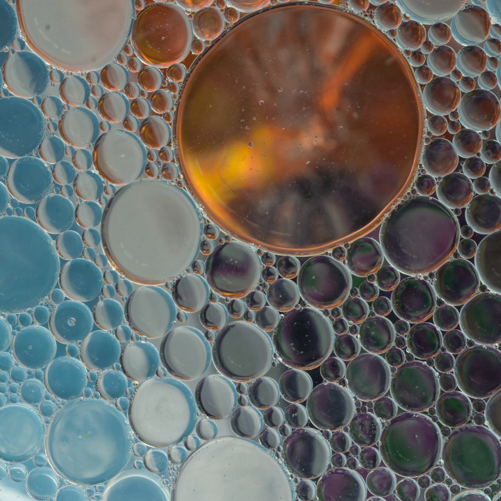 biosurfactants cosmétique agence cabinet conseil consulting