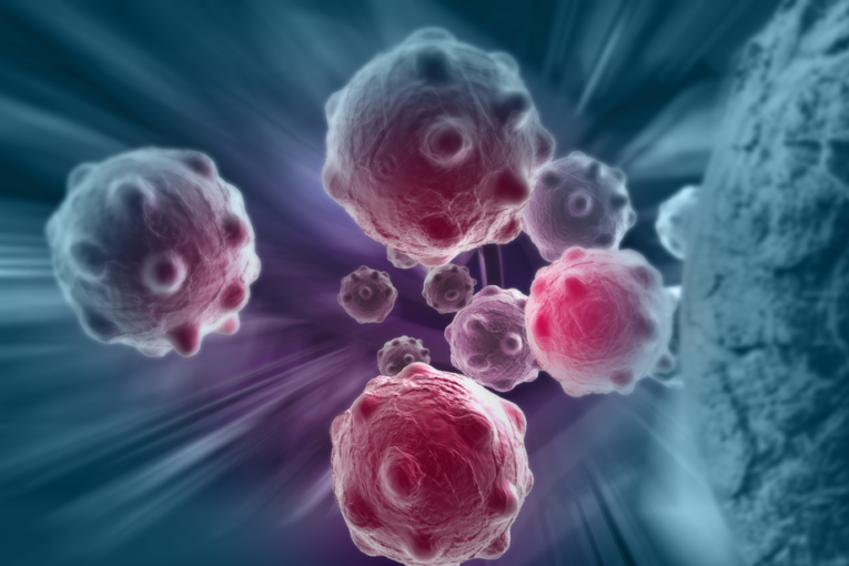 Covid développement médicaments oncologie consulting conseil