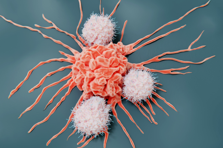 Points de contrôle dans l'immunothérapie du cancer