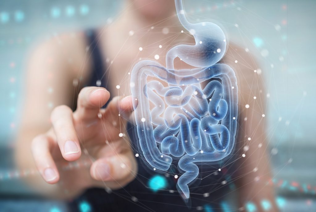 IBD a new hope for treatment linked to the microbiota