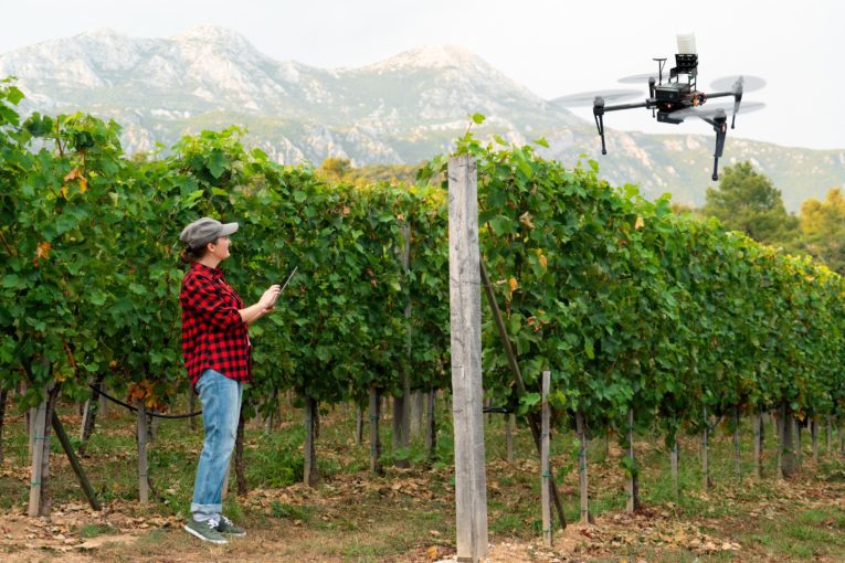 viticulture durable agence cabinet conseil consulting