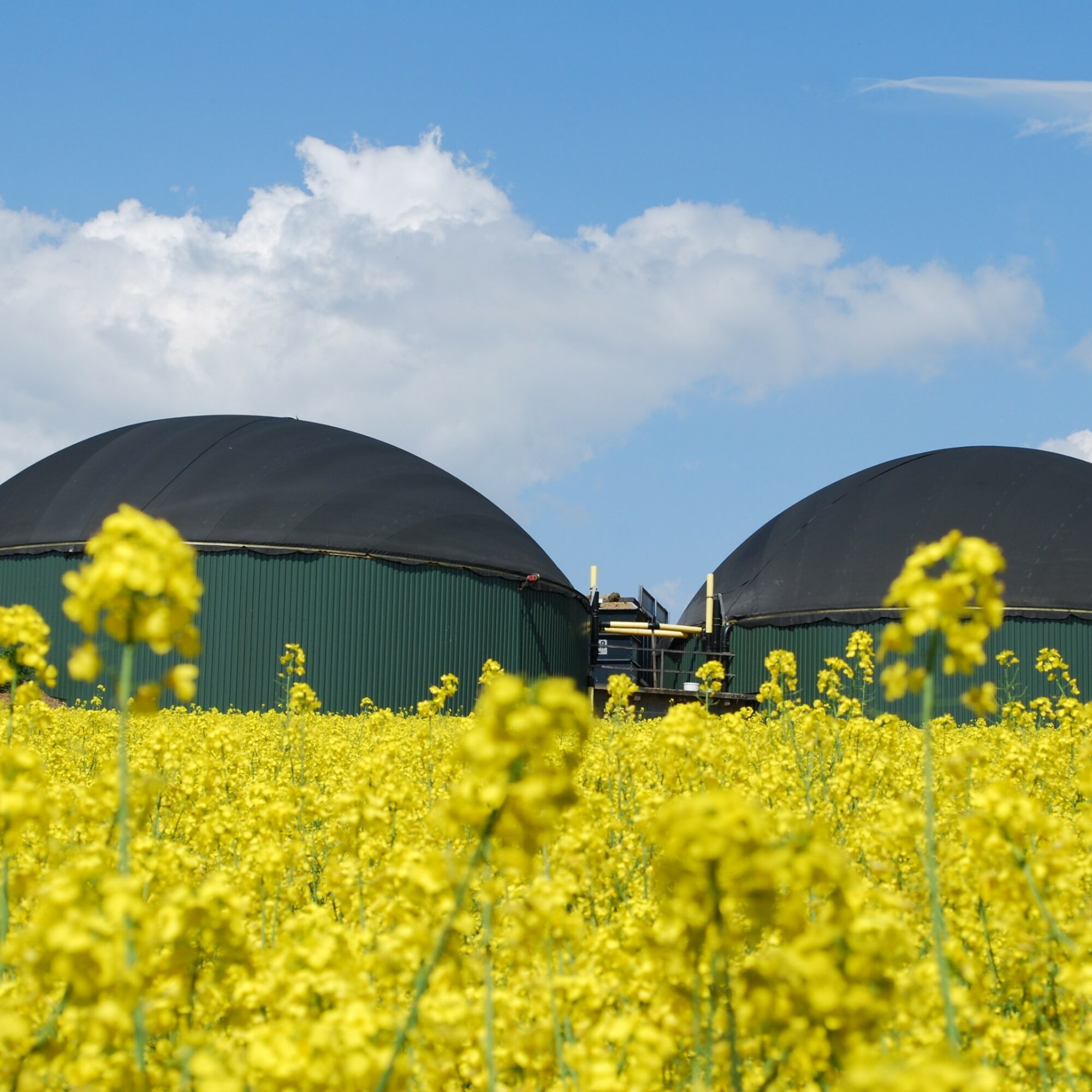 renewable gases agence cabinet conseil consulting