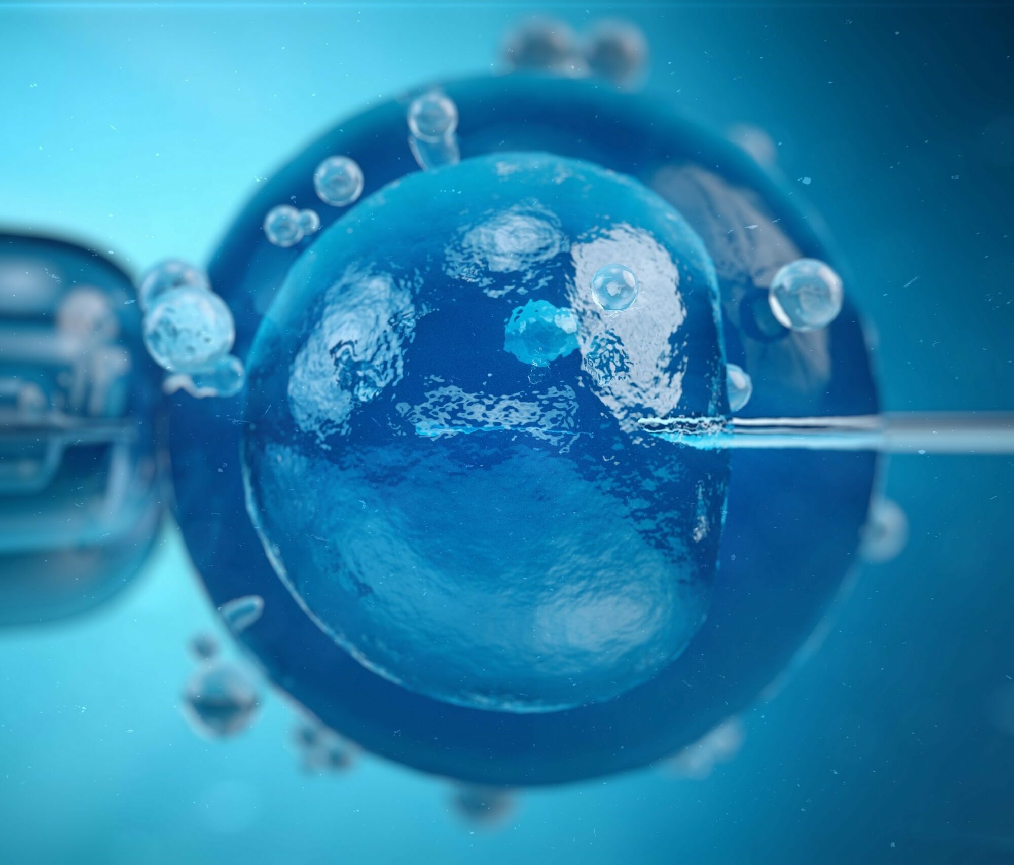 assistierte Reproduktion Agentur Unternehmensberatung Beratung Consulting