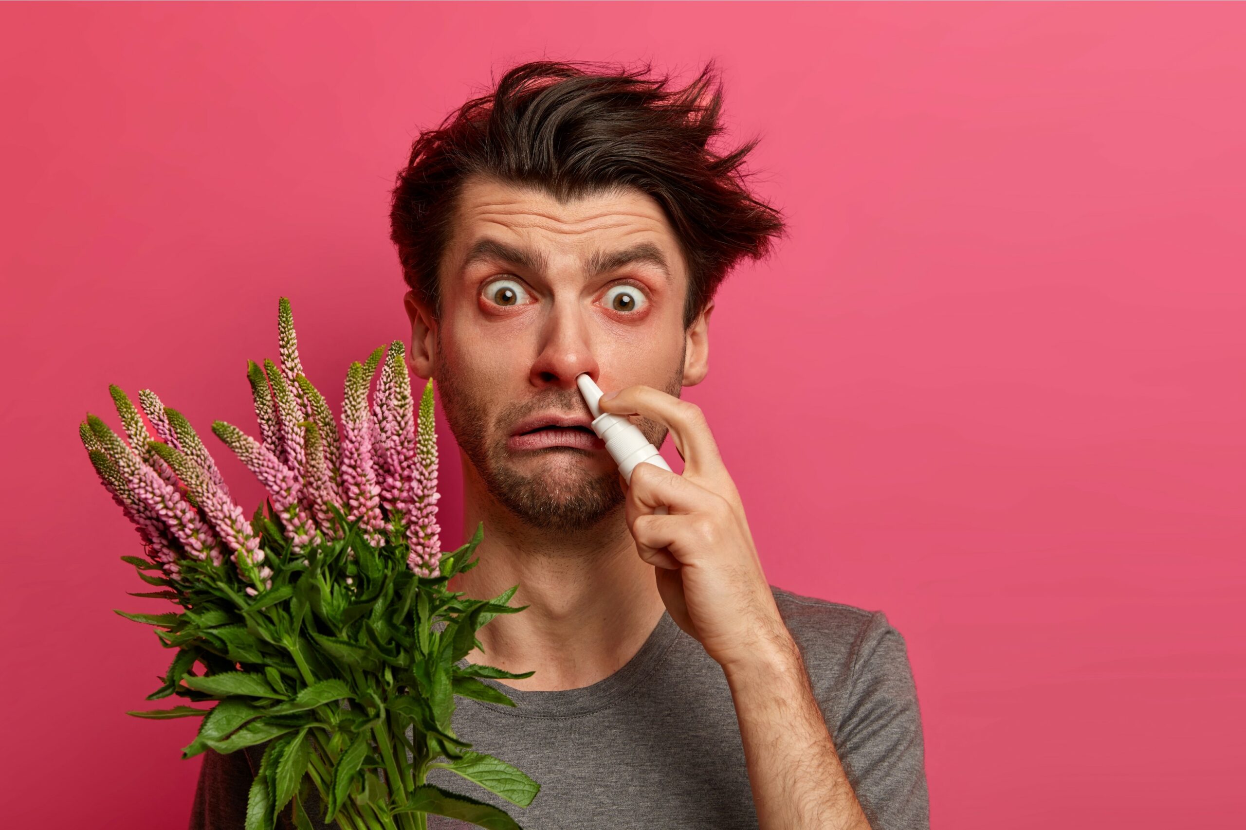 allergie agence cabinet conseil consulting