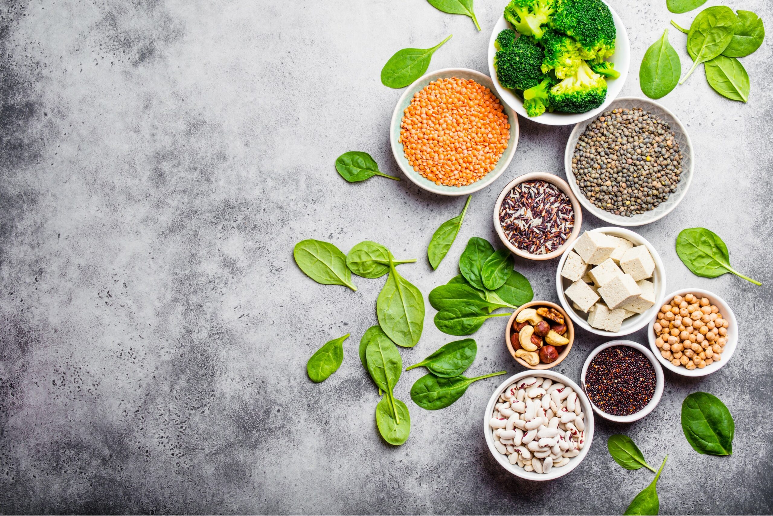 Plant proteins in APAC 3 promising sources Alcimed