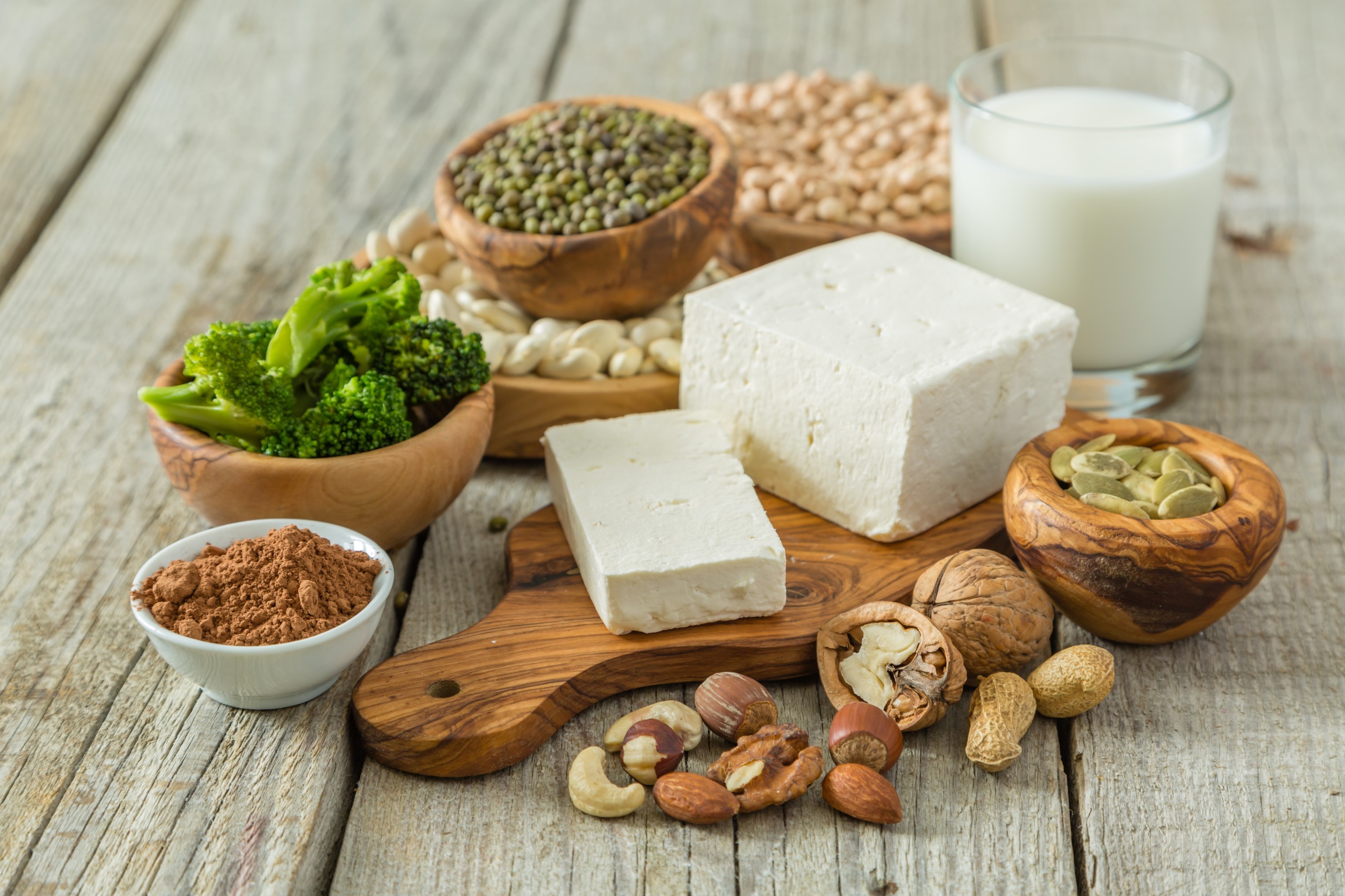 plant proteins agence cabinet conseil consulting