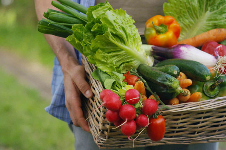 marché du bio agence cabinet conseil consulting