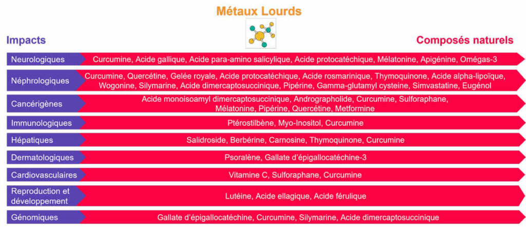 Santé. Selon une étude, tous les Français sont contaminés aux métaux lourds