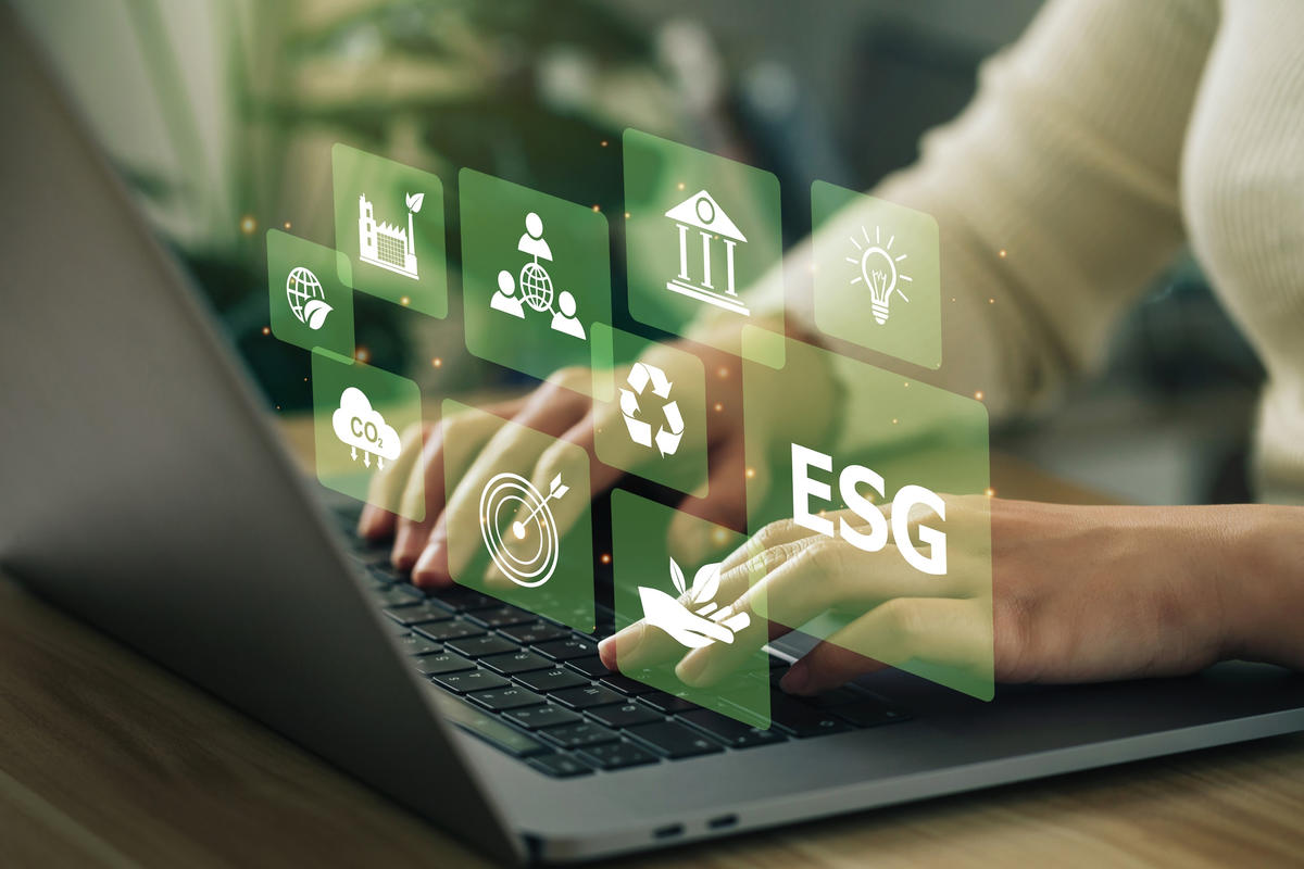 directive csrd agence cabinet conseil consulting