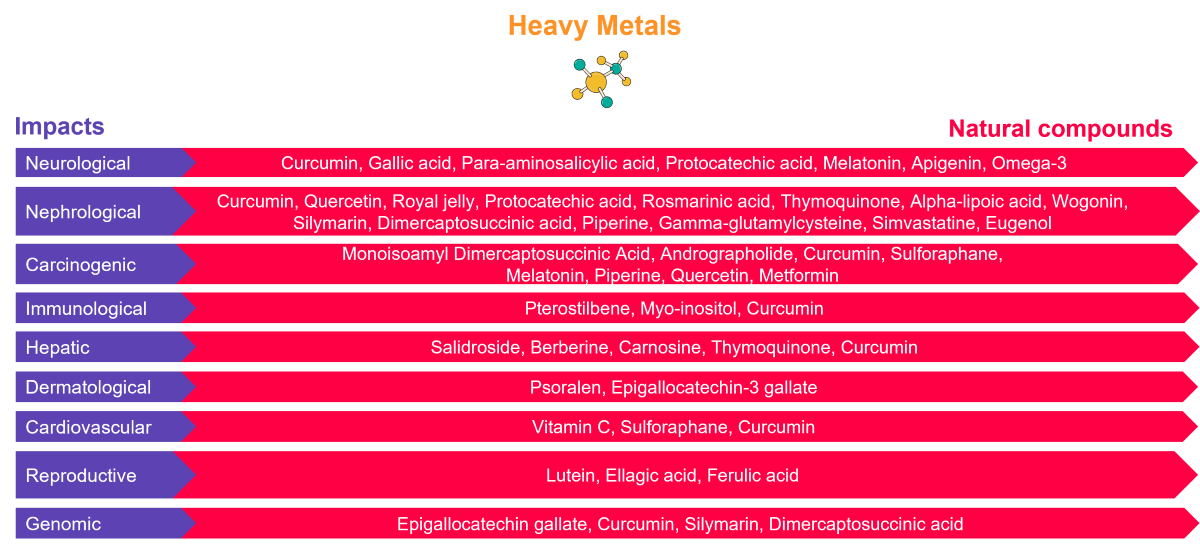 heavy metals health impact agence cabinet conseil consulting