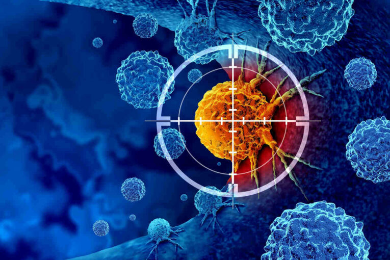 protac traitement cancer agence conseil consulting