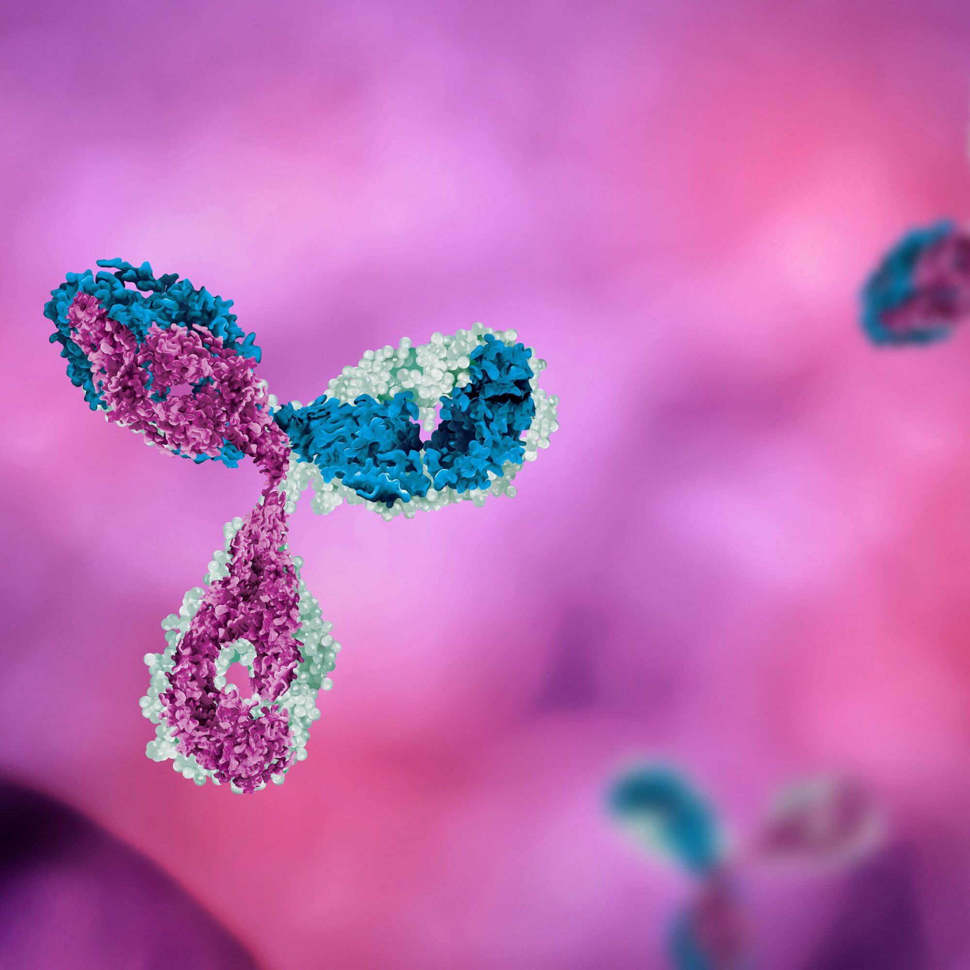 The Shocking Truth About Igg P41 Antibody Levels - bkz7oqd