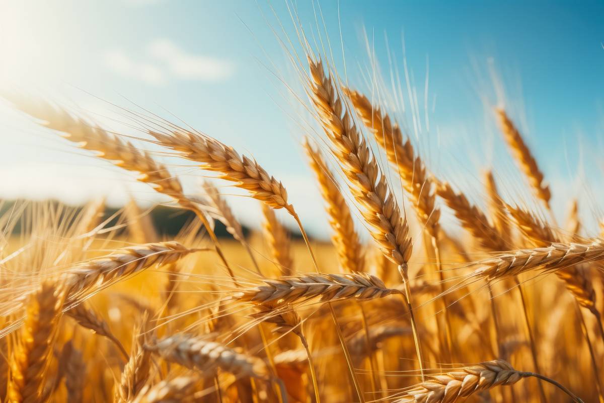 coproduits agence cabinet conseil consulting