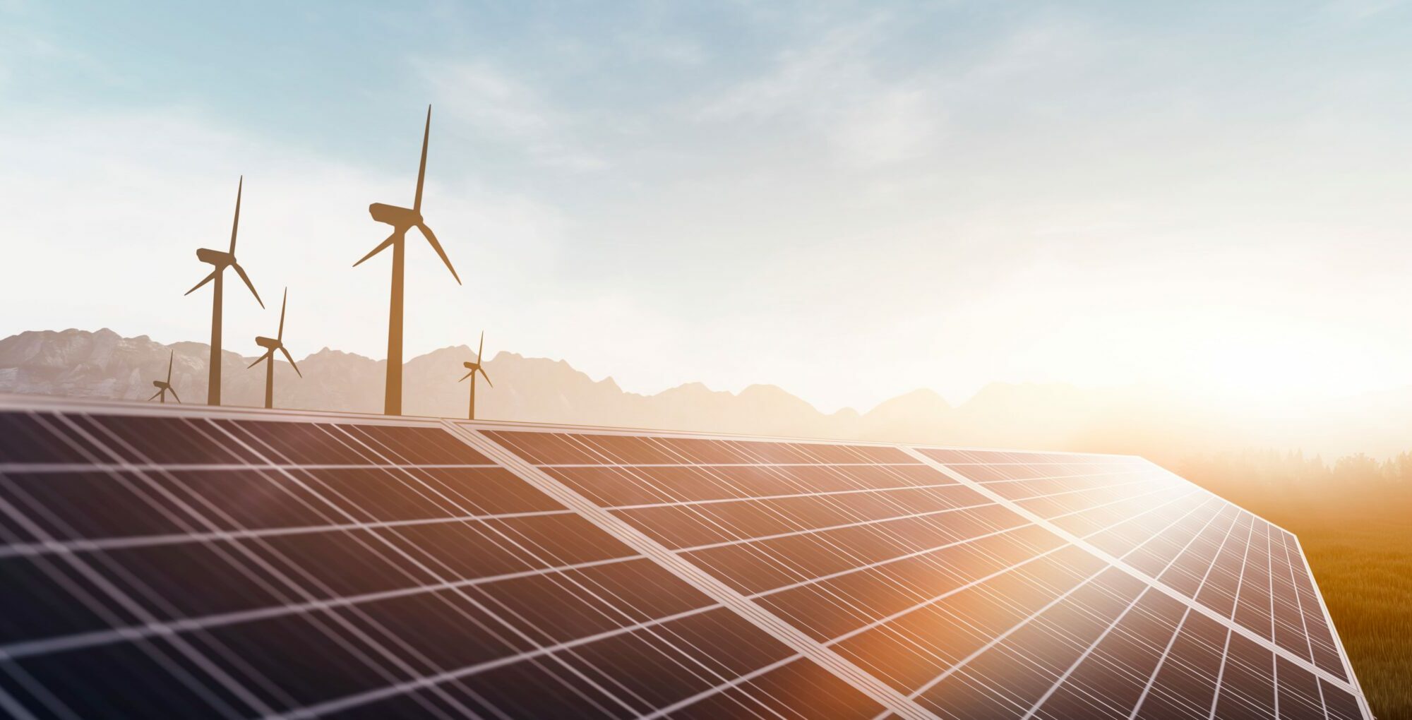 csr valuation agency consulting consultancy experts