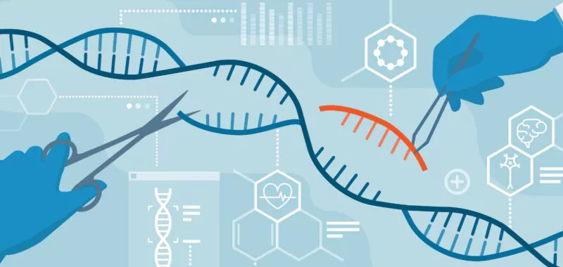 Long-Read Sequenzierung Agentur Unternehmensberatung Beratung Consulting