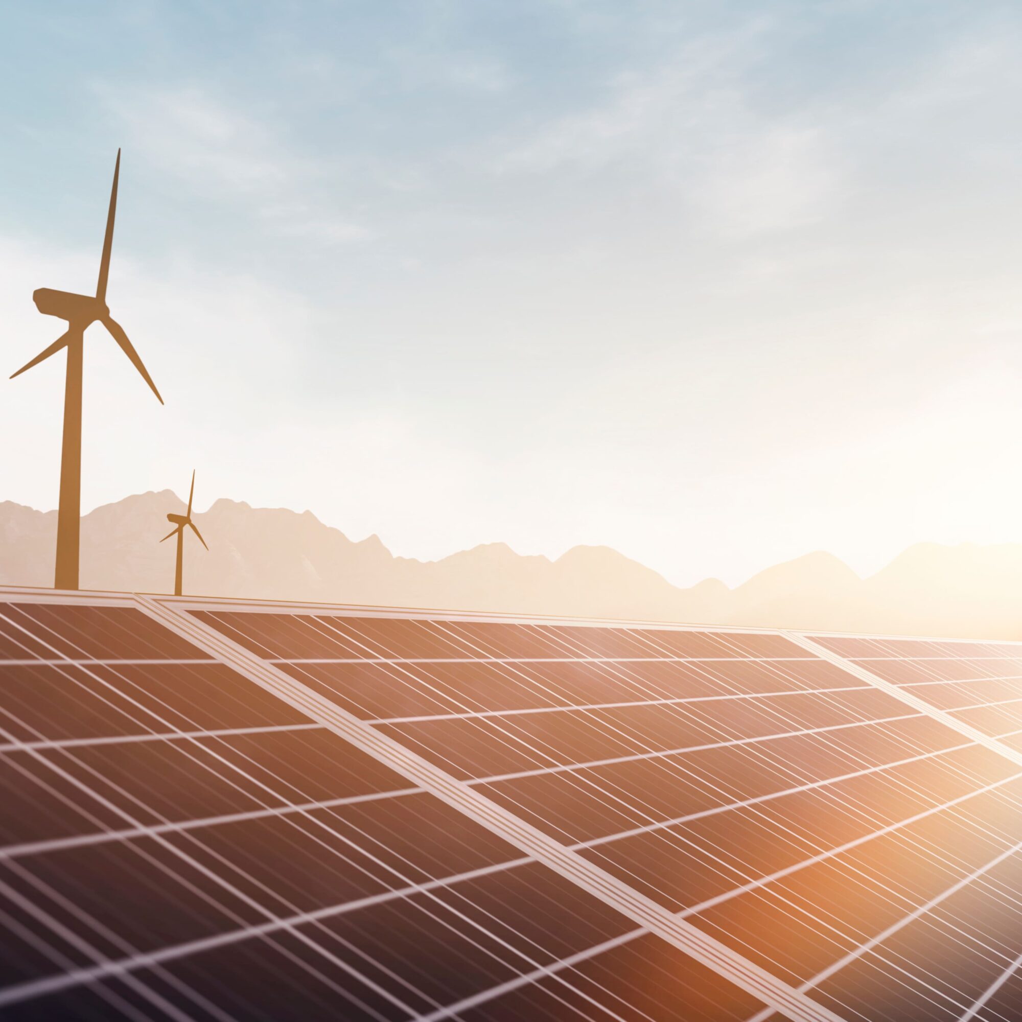 valorisation rse agence cabinet conseil consulting