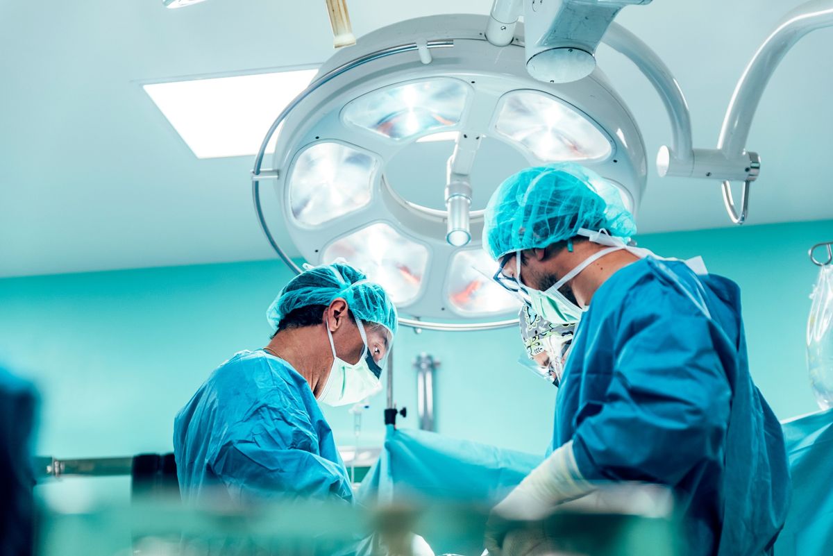 xénogreffe agence cabinet conseil consulting