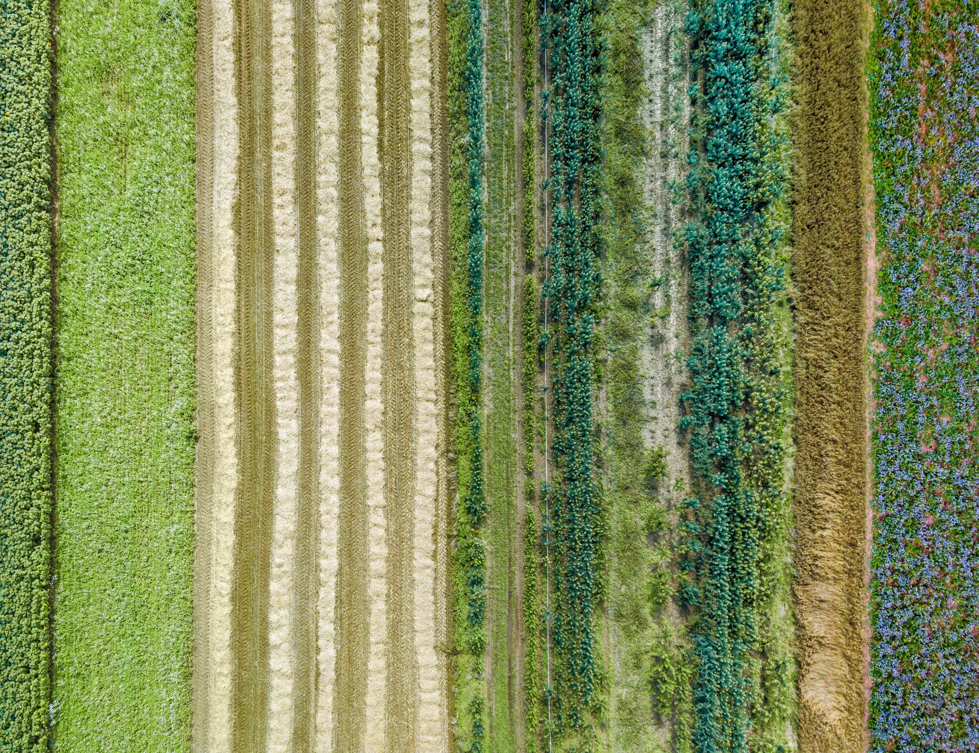 kollaborativer CSR Ansatz Agentur Unternehmensberatung Beratung Consulting