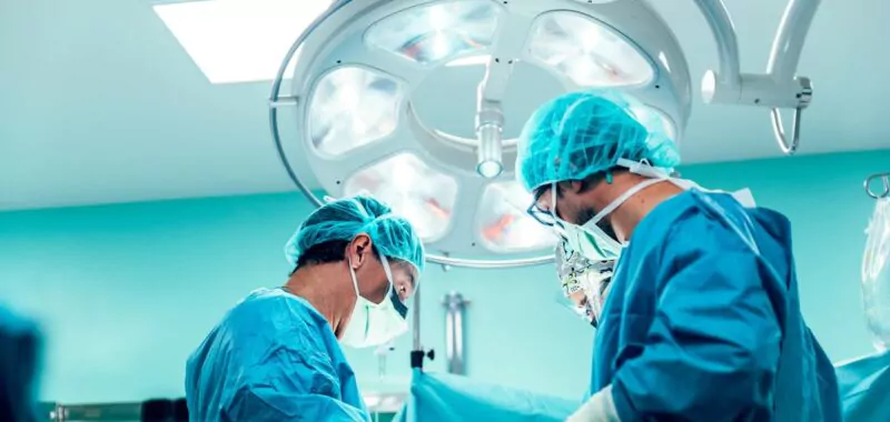 Xenotransplantation Agentur Unternehmensberatung Beratung Consulting