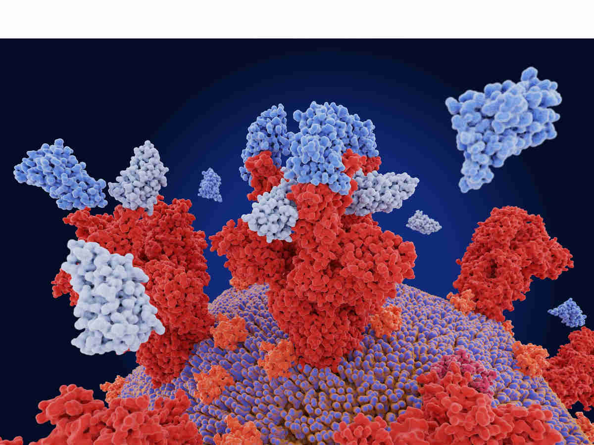 nanobodies agency consulting consultancy experts