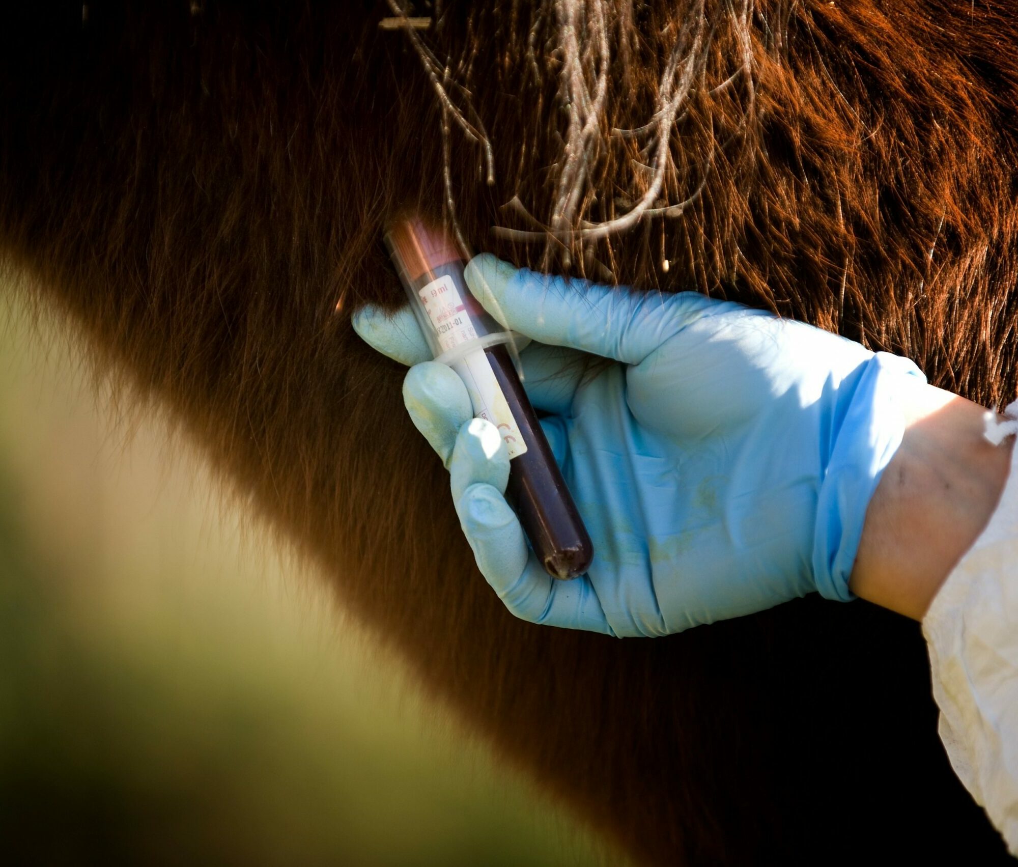 Lebensmittelbedingte Zoonosen Agentur Unternehmensberatung Beratung Consulting