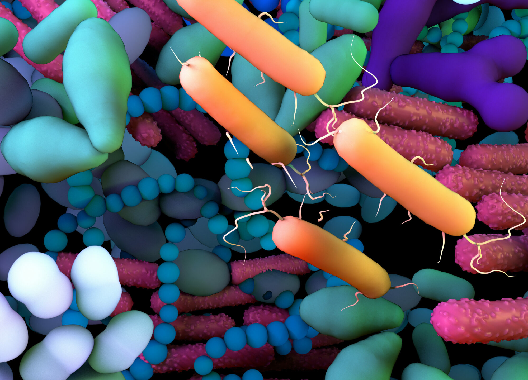 Mikrobiom Therapie Agentur Unternehmensberatung Beratung Consulting